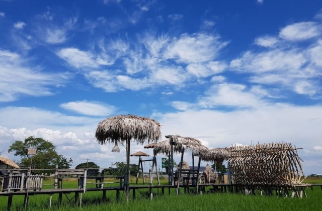 아유타야 반일 단독 투어 (방콕 픽업/샌딩 포함)