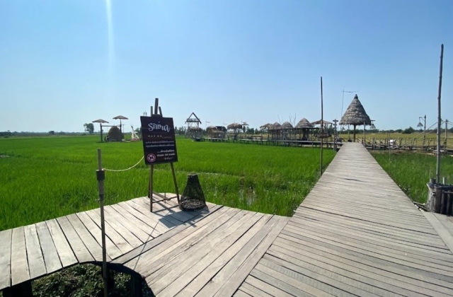 아유타야 반일 단독 투어 (방콕 픽업/샌딩 포함)