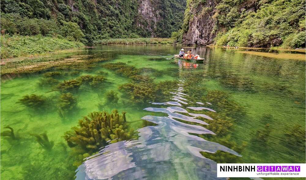 하노이 출발: 바이딘 - 짱안 - 항무아 일일 투어