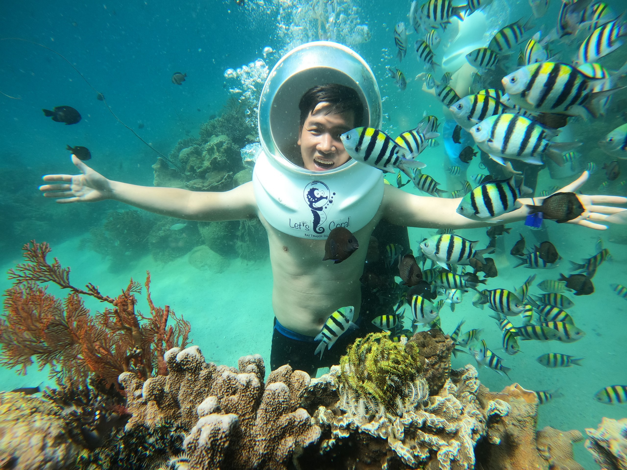 나트랑 베이 씨워킹 액티비티 (WAUG Exclusive)