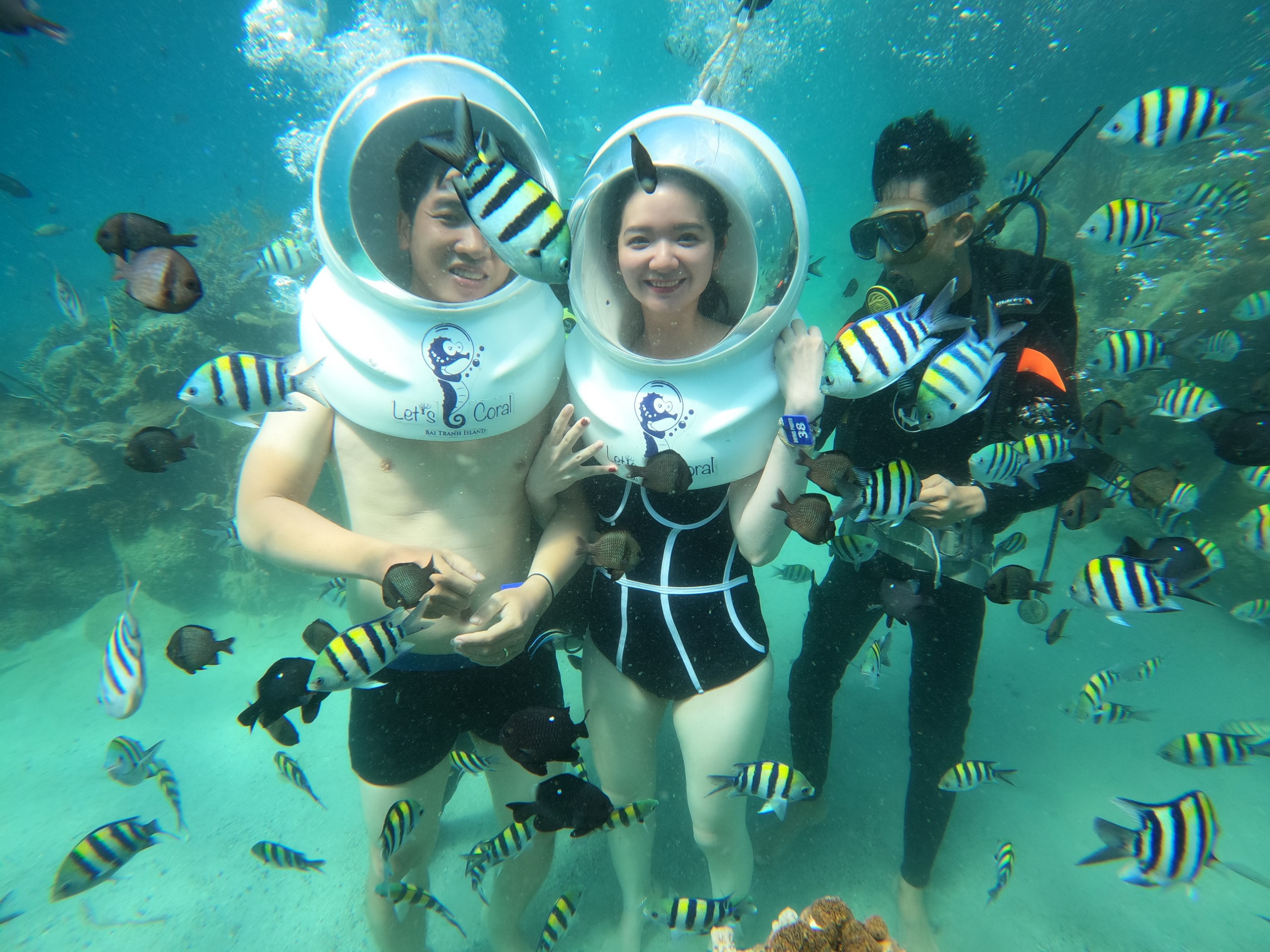 나트랑 베이 씨워킹 액티비티 (WAUG Exclusive)