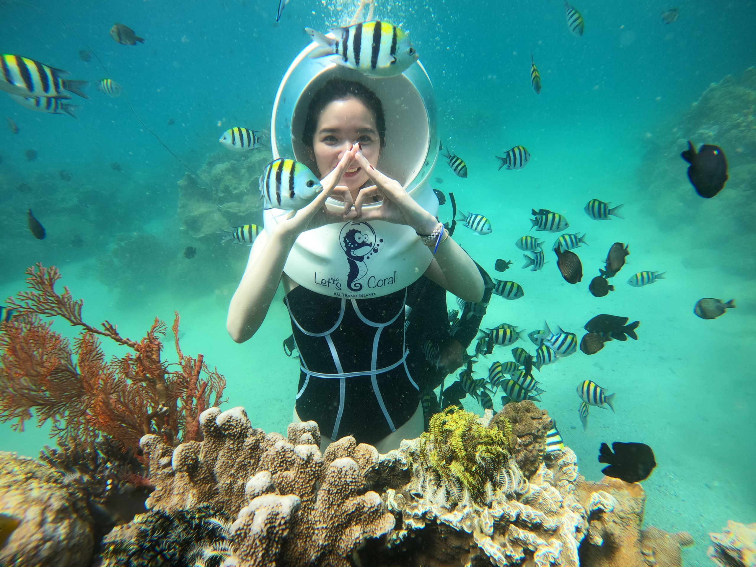 나트랑 베이 씨워킹 액티비티 (WAUG Exclusive)