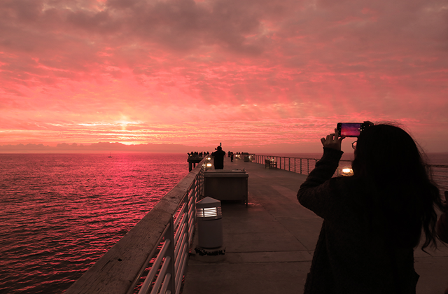 디스커버리 로스앤젤레스 & 야경 12시간 투어