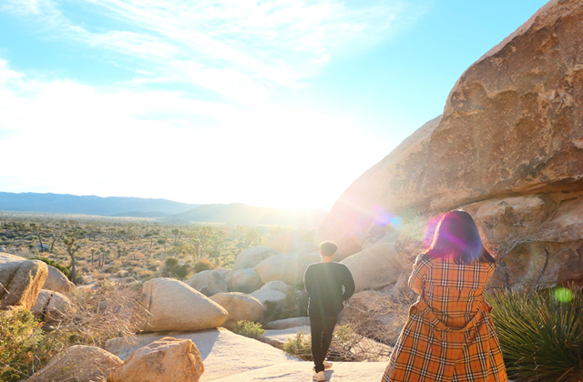 [모아트립] LA 출발: 조슈아트리 어드벤처 투어 (12시간 코스)