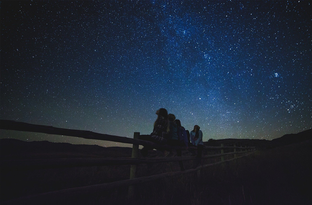 [모아트립] LA 출발: 조슈아트리 어드벤처 투어 (12시간 코스)