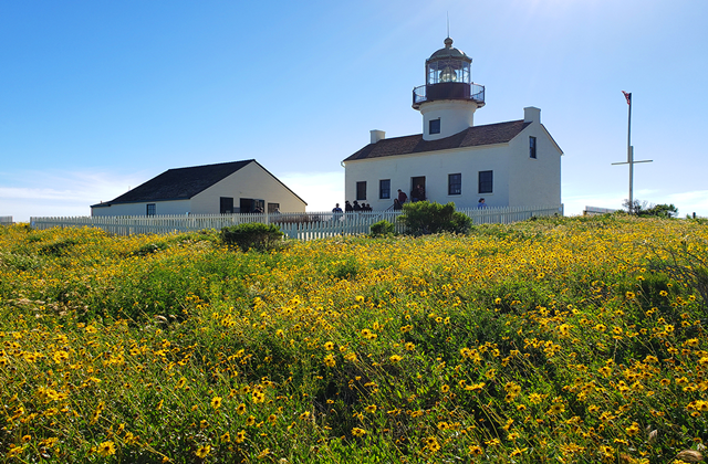 [모아트립] LA 출발: 샌디에이고 로드트립 12시간 투어