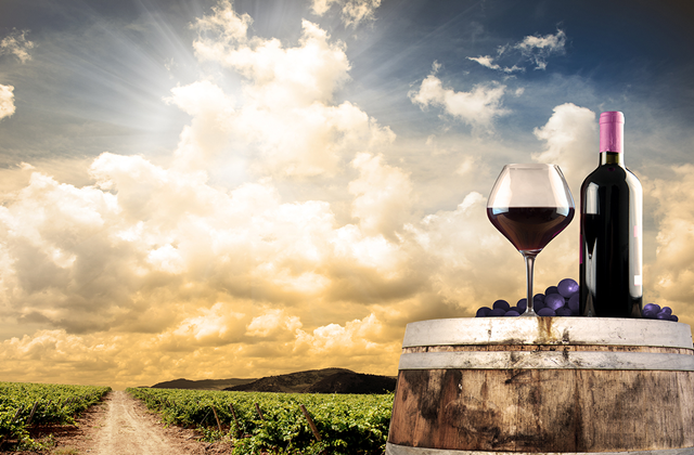 [모아트립] LA 출발: 샌타바버라 로드 트립 12시간 와이너리 투어