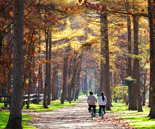 activity_detail_image