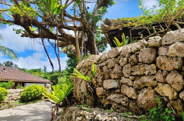 Okinawa Ryukyu Mura Ticket