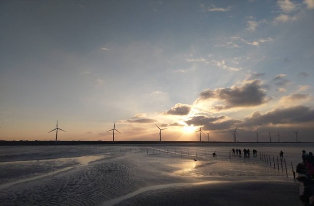 타이중 일월담 & 고미습지 일일 투어 (한국어 가이드)