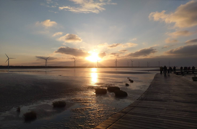 타이중 일월담 & 고미습지 일일 투어 (한국어 가이드)