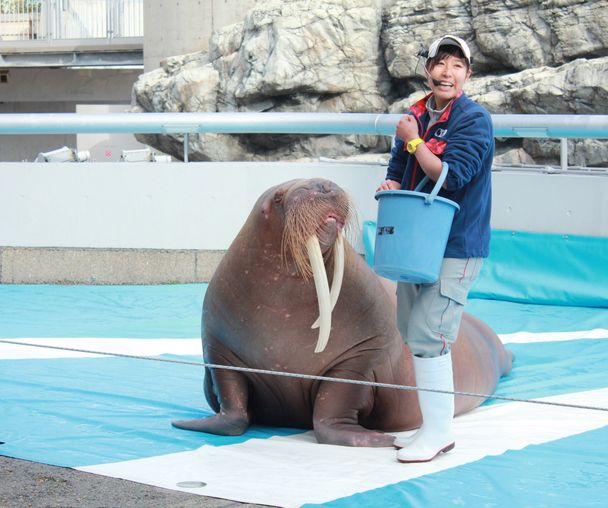 activity_detail_image