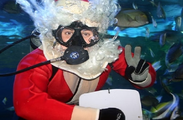 파타야 언더워터 월드 아쿠아리움 입장권