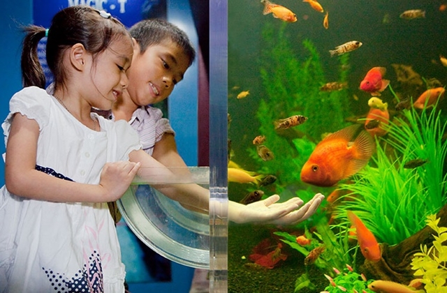 파타야 언더워터 월드 아쿠아리움 입장권