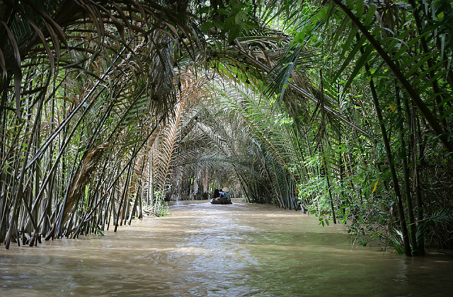 Ho Chi Minh City: Mekong Delta & Cu Chi Tunnels Day Tour (Small Group)