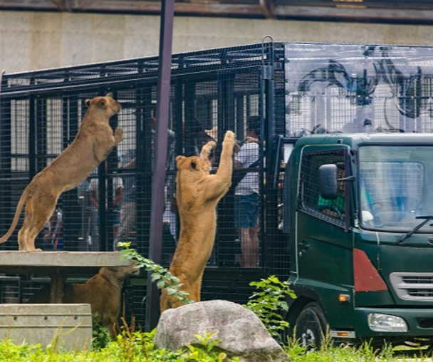 activity_detail_image