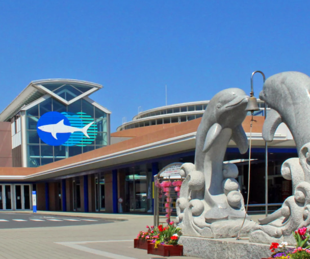 activity_detail_image