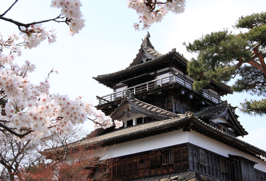 福井丸岡城入場券