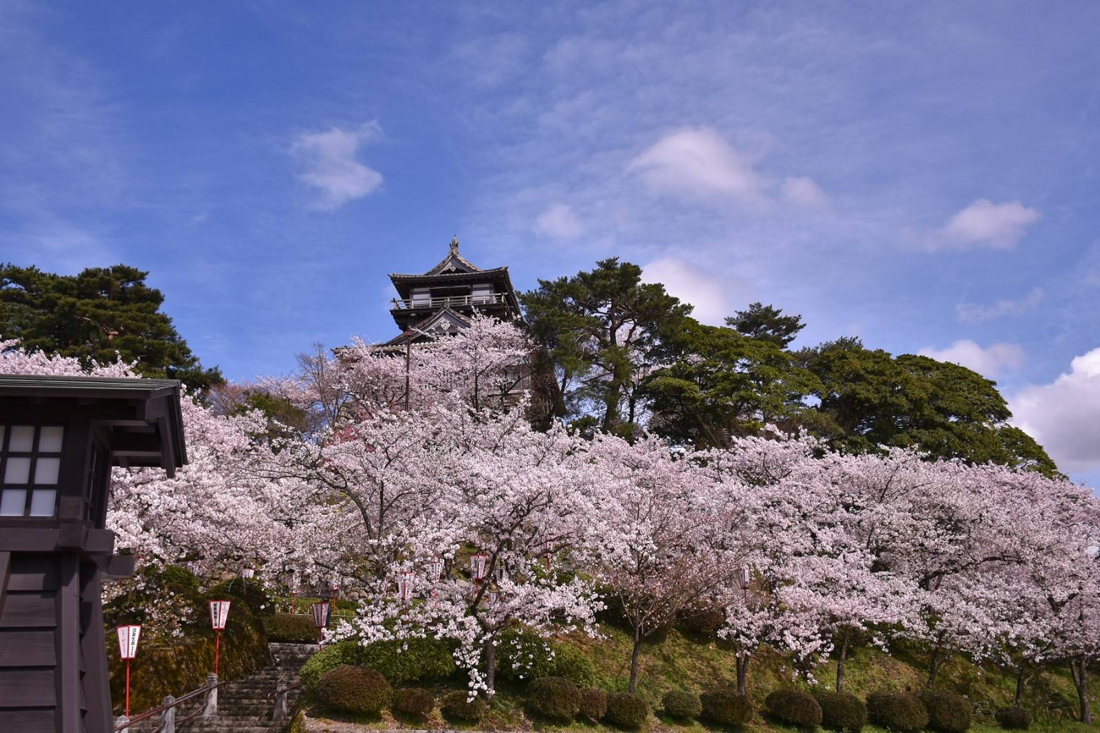 福井丸岡城入場券