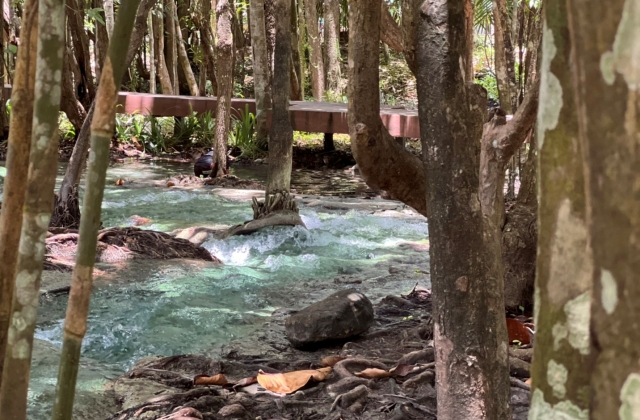 끄라비 온천과 에메랄드 자연 풀장 투어