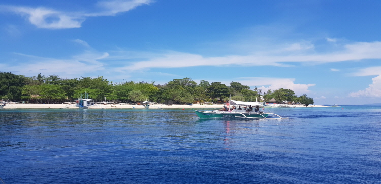 ボホール・イルカと亀に会うバリカサグ島ホッピングツアー(送迎付き)