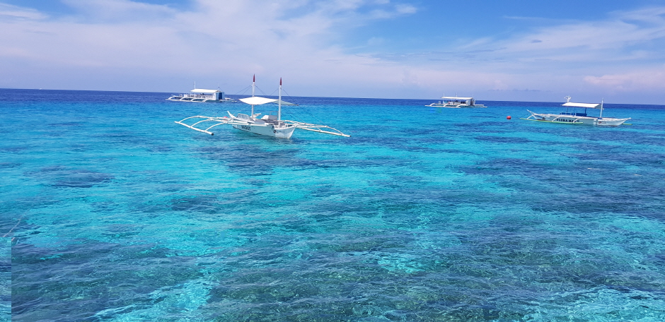 ボホール・イルカと亀に会うバリカサグ島ホッピングツアー(送迎付き)