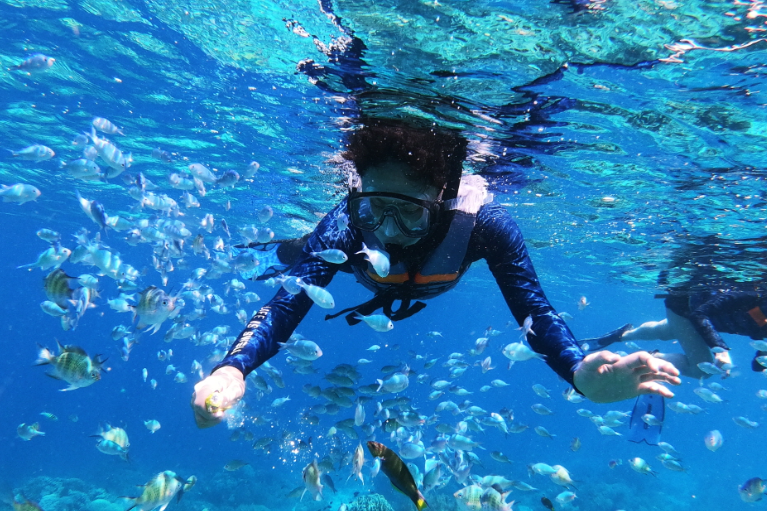 ボホール・イルカと亀に会うバリカサグ島ホッピングツアー(送迎付き)