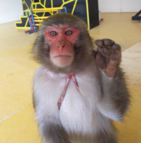 activity_detail_image