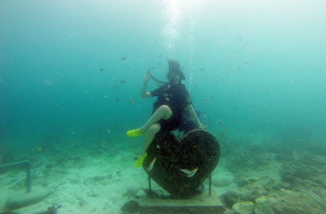 세부 다이빙 CMAS 오픈워터 자격증 클래스 (2일 진행)