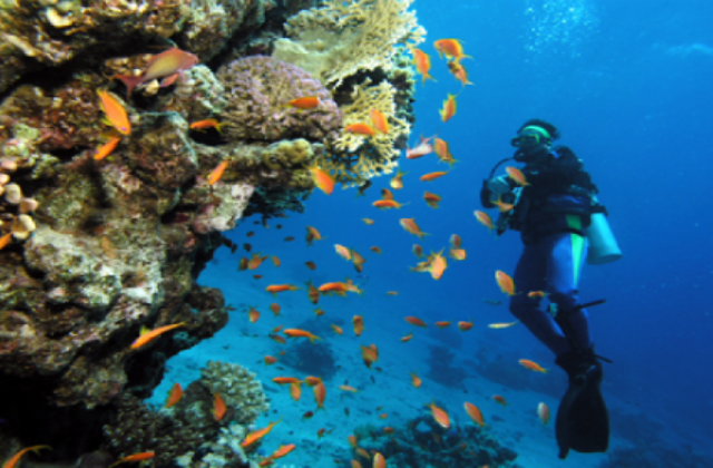 세부 다이빙 CMAS 오픈워터 자격증 클래스 (2일 진행)