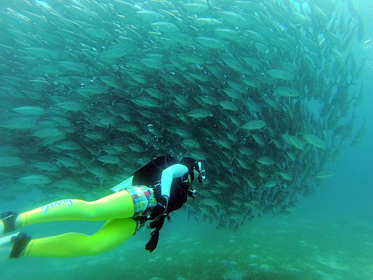 세부 다이빙 CMAS 오픈워터 자격증 클래스 (2일 진행)