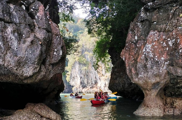끄라비 딸란 맹그로브 숲 카약 투어