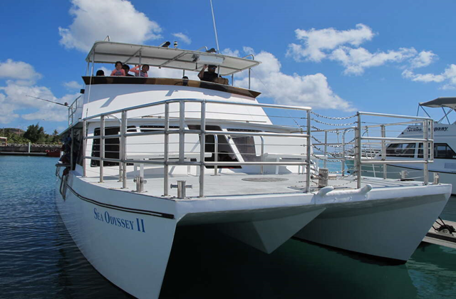 Guam Dolphin Cruise by Blue Ocean Dolphin (Fishing, Snorkeling, Tuna Sashimi)