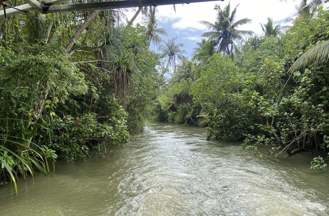 グアム·タロフォフォ川ジャングルリバークルーズ
