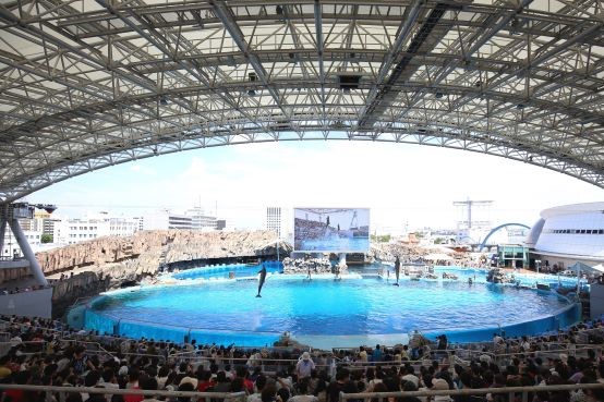 나고야항 수족관 입장권