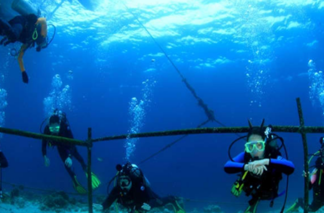 세부 뉴그랑블루 다이브리조트 오픈워터 다이버 2일 코스