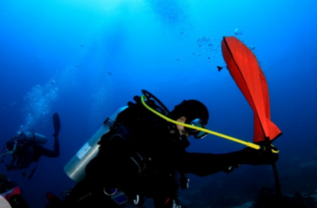 세부 뉴그랑블루 다이브리조트 어드밴스 다이버 2일 코스 (오픈워터 이상 소지자)