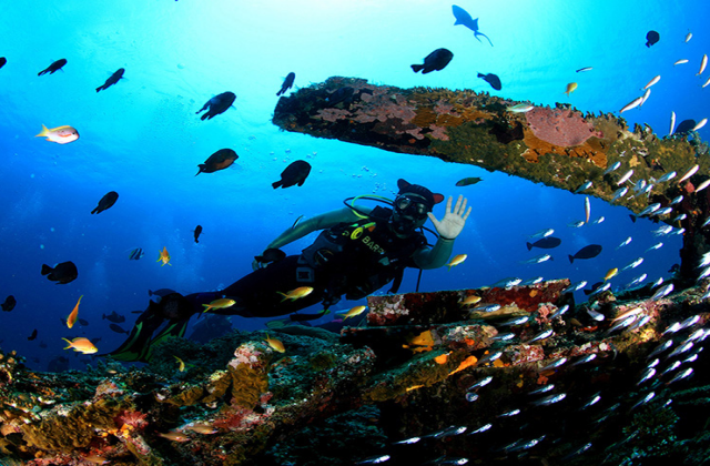 세부 뉴그랑블루 다이브리조트 어드밴스 다이버 2일 코스 (오픈워터 이상 소지자)