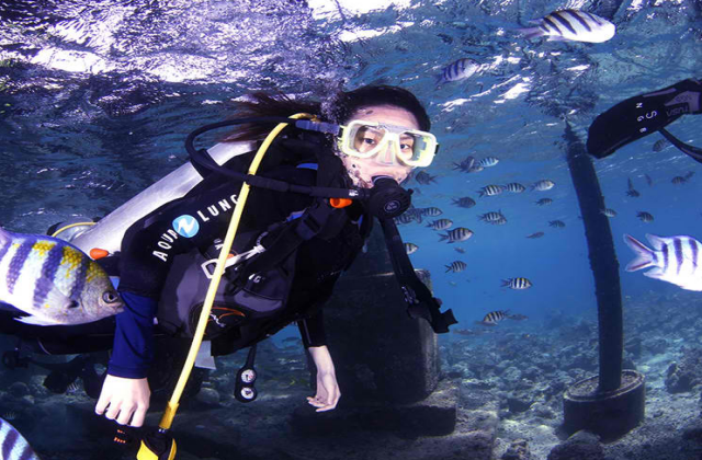 세부 뉴그랑블루 다이브리조트 어드밴스 다이버 2일 코스 (오픈워터 이상 소지자)