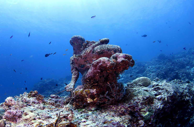 세부 뉴그랑블루 다이브리조트 펀 다이빙 코스 (오픈워터 자격증 소지자)