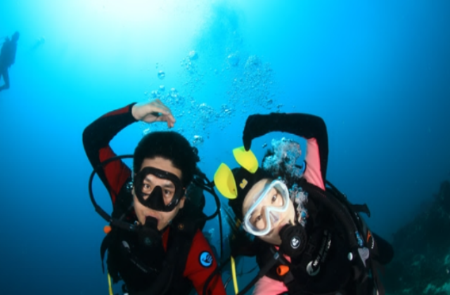 세부 뉴그랑블루 다이브리조트 체험 다이빙