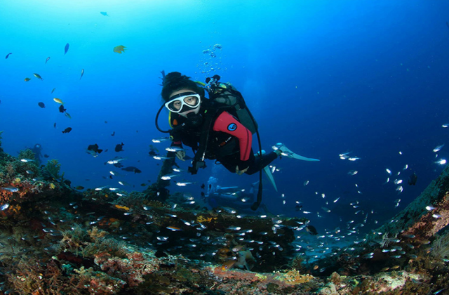 세부 뉴그랑블루 다이브리조트 체험 다이빙