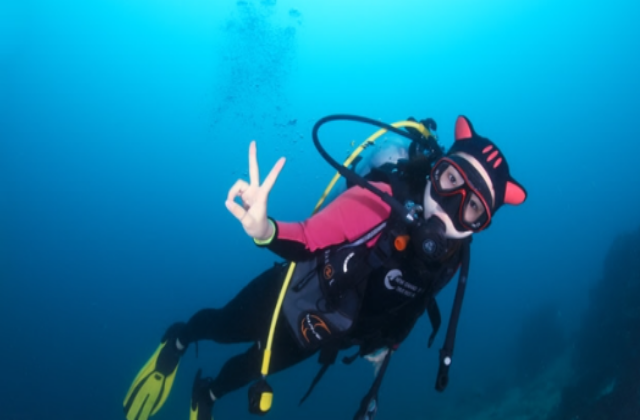 세부 뉴그랑블루 다이브리조트 체험 다이빙