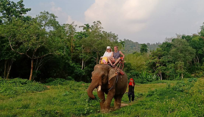 끄라비 코끼리 트레킹 & 목욕 시키기 체험 투어