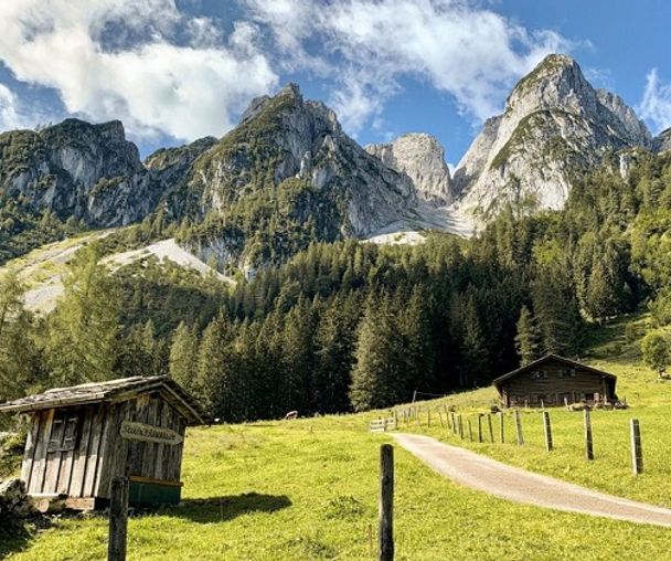 activity_detail_image