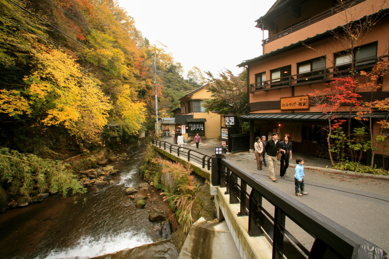 [엔데이트립] 후쿠오카 출발: 아소 쿠로가와 온천 버스투어
