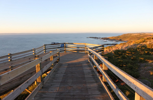 [오지나라] 그레이트 오션로드 & 필립 아일랜드 일일 투어