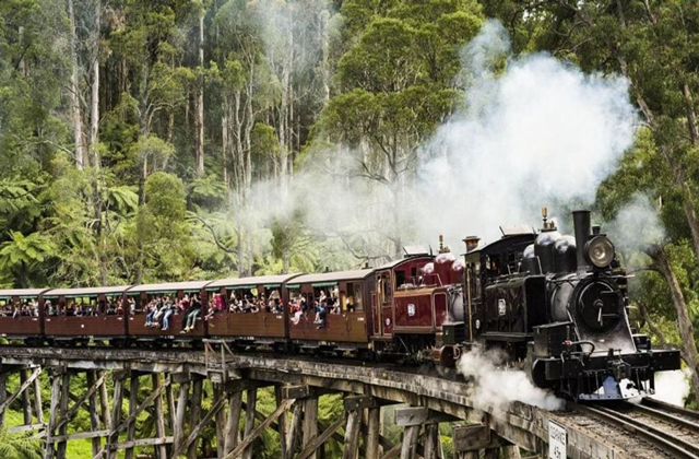 [오지나라] 그레이트 오션로드 & 퍼핑빌리 & 필립 아일랜드 투어