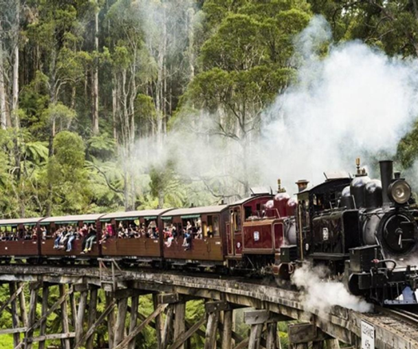 activity_detail_image