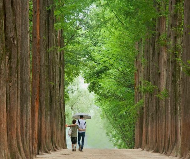 activity_detail_image